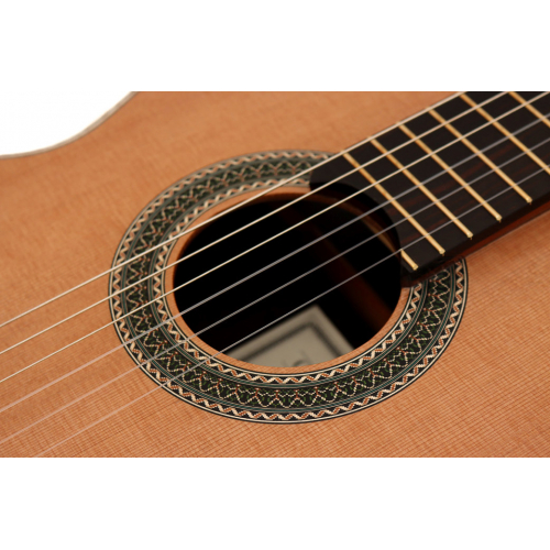 Concierto - Portal Sonido