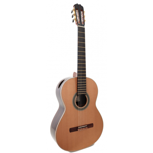 Concierto - Portal Sonido