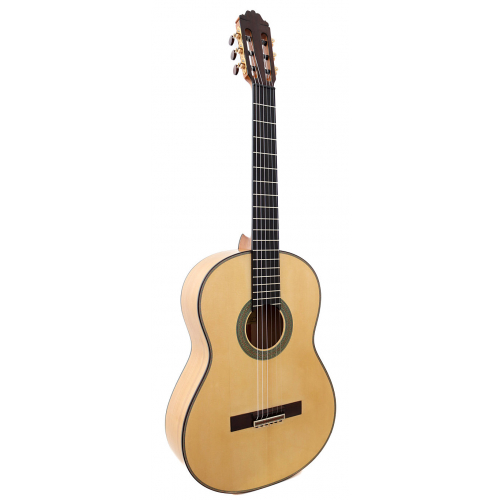 Flamenco Blanca 2025