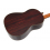 Paulino Bernabe Modelo 50 - Cedro 2026