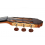 Paulino Bernabe Modelo 50 - Cedro 2026
