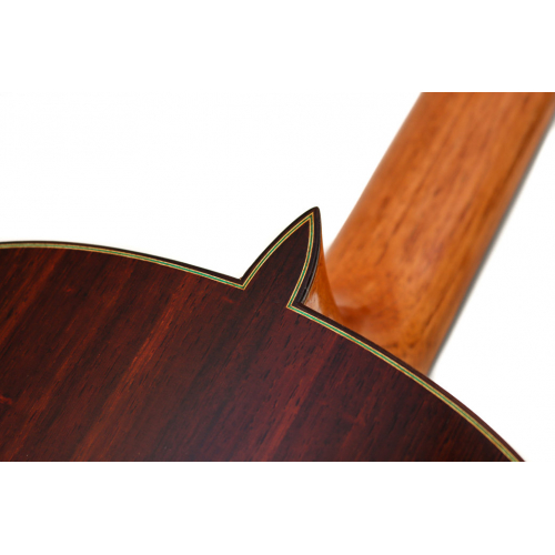 Modelo 50 Cedro 2026