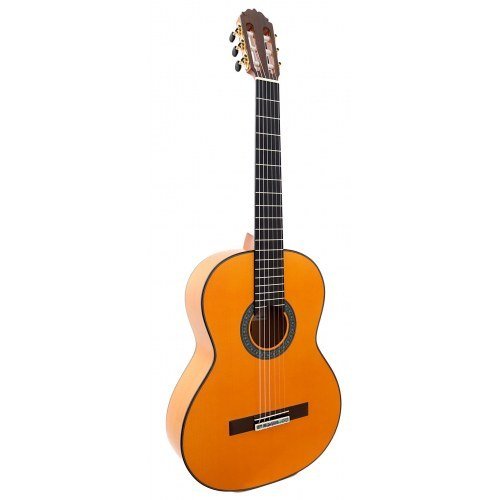 Flamenco Pro