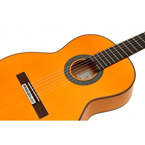 Flamenco Pro