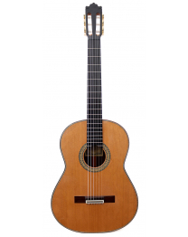 new-guitar-bernabe-especial-