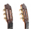 Paulino Bernabe Model Especial 2025 - Cedar 