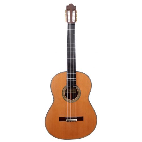 ESPECIAL 2025 - Cedar