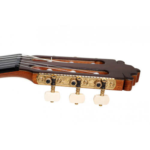 ESPECIAL 2025 - Cedar