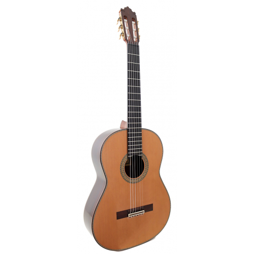 ESPECIAL 2025 - Cedar