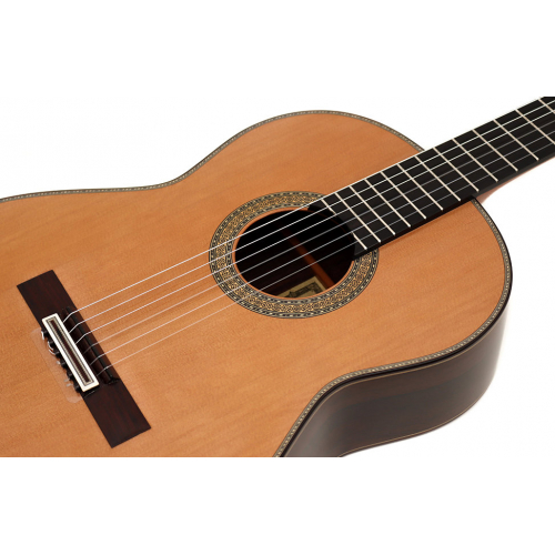 ESPECIAL 2025 - Cedar