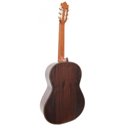 ESPECIAL 2025 - Cedar