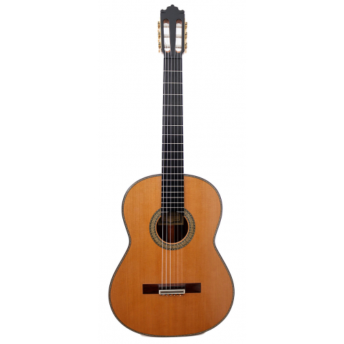 ESPECIAL 2025 - Cedar