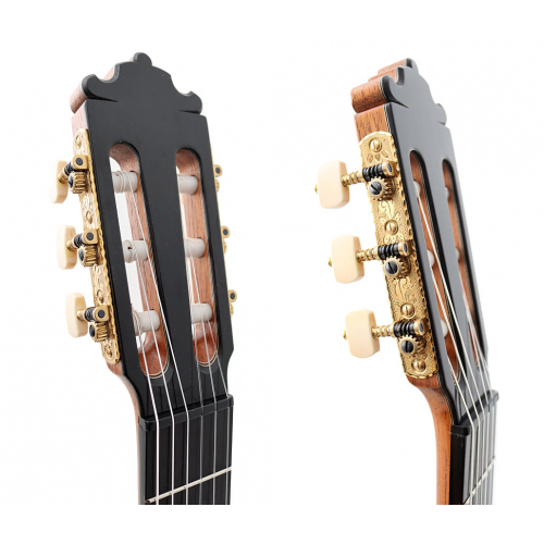 ESPECIAL 2025 - Cedar