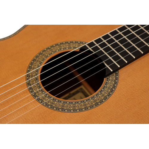 ESPECIAL 2025 - Cedar