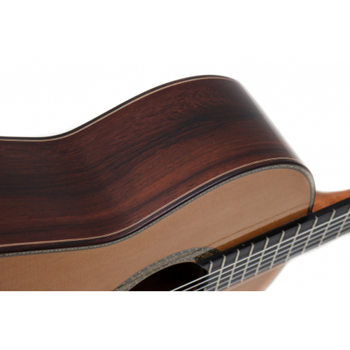 ESPECIAL 2025 - Cedar