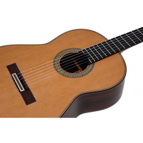 ESPECIAL 2025 - Cedar
