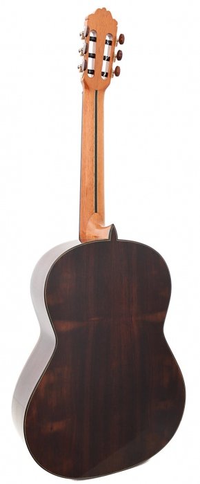 Paulino Bernabe Model 20 - spruce