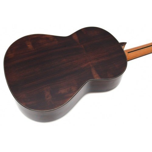 Model 20 spruce