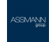 Assmann Electronic