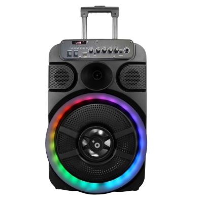 Altavoz SUNSTECH Muscles12 Trolley Karaoke