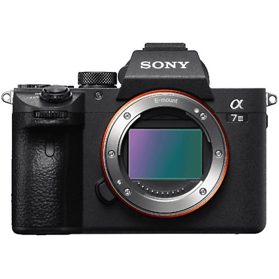 Sony Alpha 7 III 24.2MP WiFi/Bluetooth Cuerpo Negro
