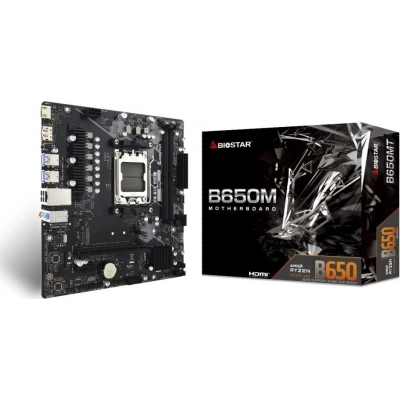 Biostar B650MT