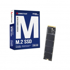 Biostar SSD M760 256Gb Pcie Gen3x4 NVMe 1.3