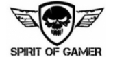 SPIRIT OF GAMER
