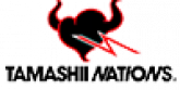 Tamashii nations