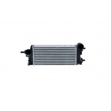 INTERCOOLER 1.0 EcoBoost (343x157x62)