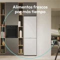 Frigorífico combi Candy ECN4CQTEW186, 185 x 59,5 x 66,7 cm, No Frost, clase E, 270 kWh/año, 38 dB, 355 litros, WiFi, blanco - imagen 11