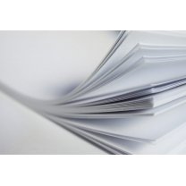 Papel