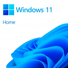 OEM WINDOWS 11 HOME 64 BITS ESPAÑOL LATAM 1 PK DSP DVD