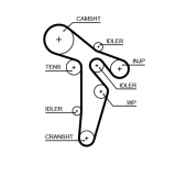 Kit correa distribución motor 2.0TDI K025649XS