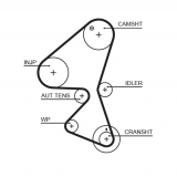 Kit correa distribución motor 1.6HDI