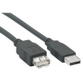 GEMBIRD CABLE USB2.0 A/A (ALARGO) 3M NEGRO CCP-USB2-AMAF-10