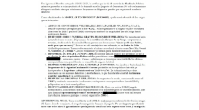 LA DENUNCIA