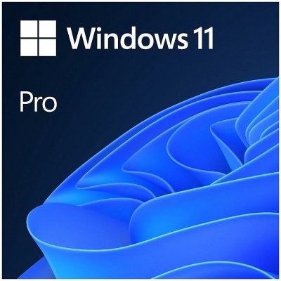 Windows 11 Pro 64b Es OEM Lic Digital