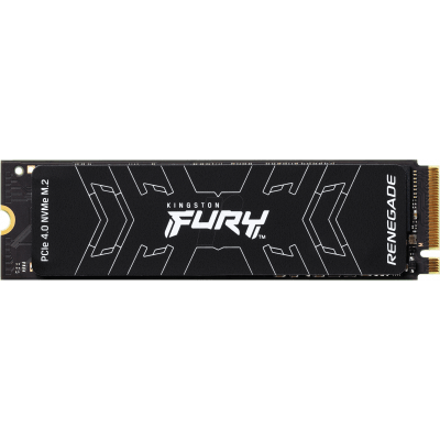 M.2 Nvme  1TB Fury Renegade
