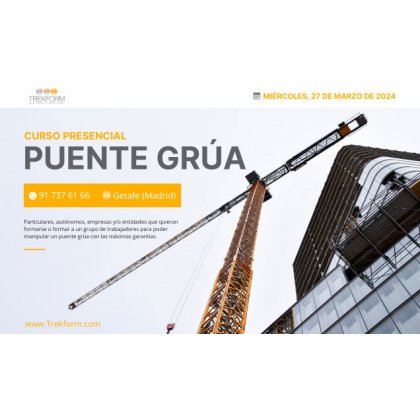 CURSO PUENTE GRÚA: MAESTRÍA EN SEGURIDAD-GETAFE
