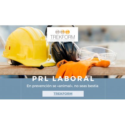 PRL EN EL TRABAJO