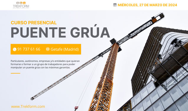 CURSO PUENTE GRÚA: MAESTRÍA EN SEGURIDAD-GETAFE