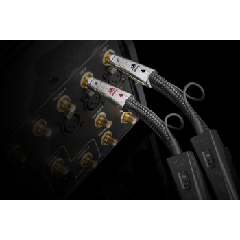 15655 1 AudioQuest Dragon RCA Cable 1 1 Factory Terminated Pair 0 5M