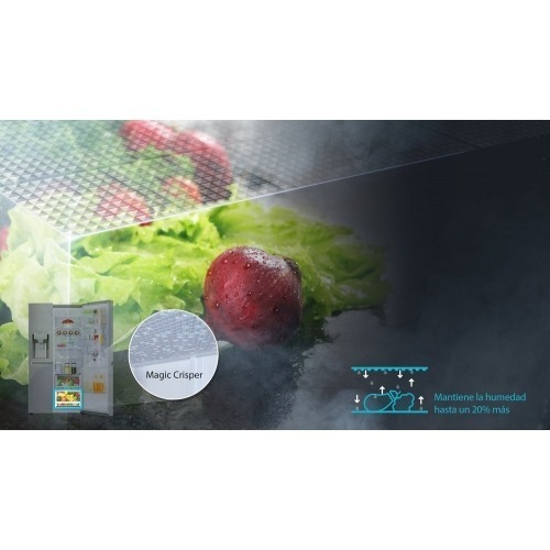 Imagen adicional del producto