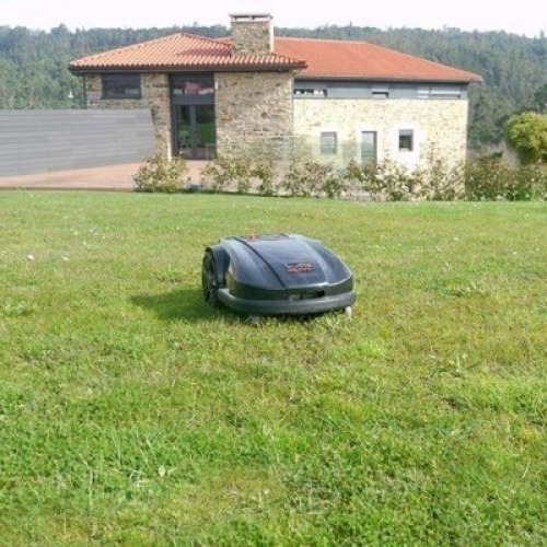 Imagen adicional del producto