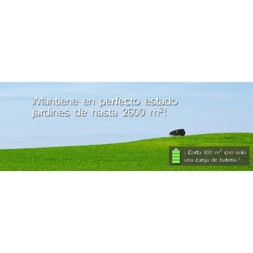 Imagen adicional del producto