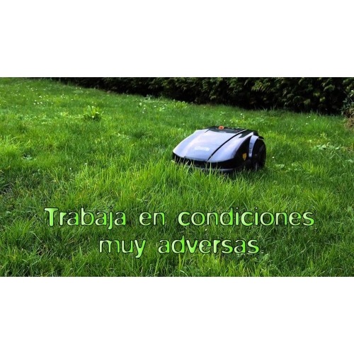 Imagen adicional del producto