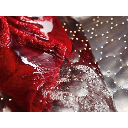 Imagen adicional del producto