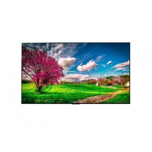 Imagen adicional del producto