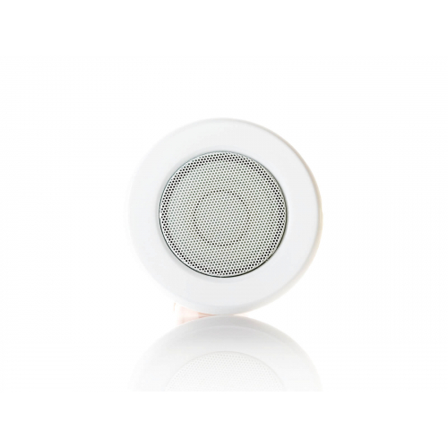 Imagen adicional del producto